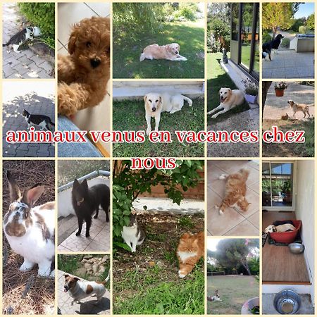 Gite Ma Vie La 3 Etoiles, Jacuzzi, Animaux Acceptes Saint-Julien-de-Cassagnas Exterior photo