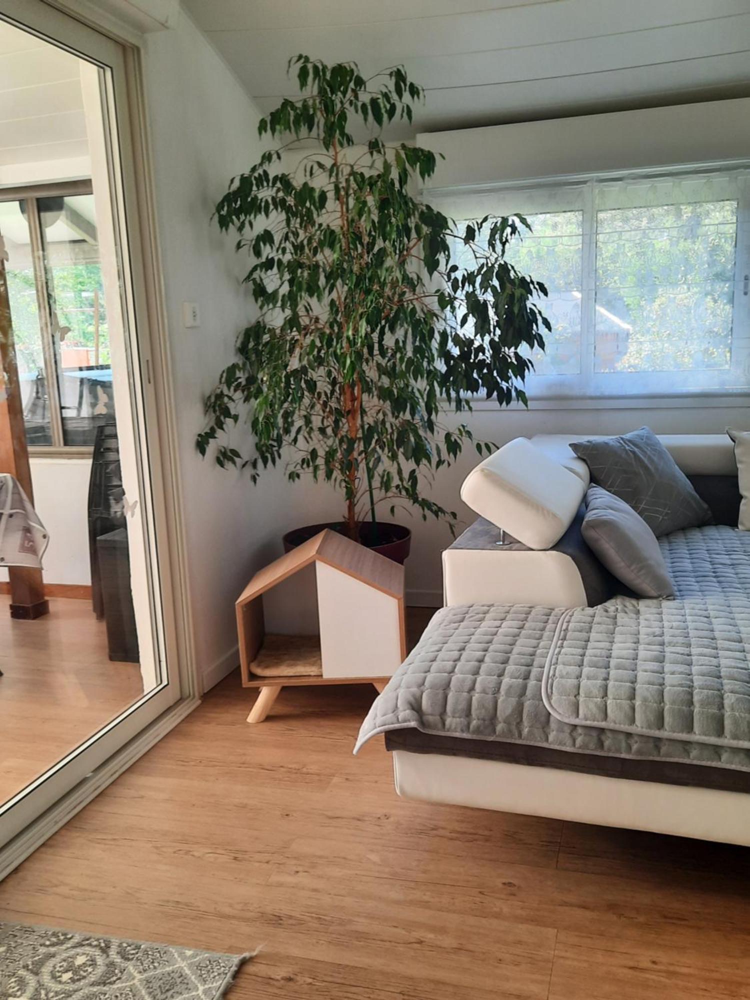Gite Ma Vie La 3 Etoiles, Jacuzzi, Animaux Acceptes Saint-Julien-de-Cassagnas Exterior photo